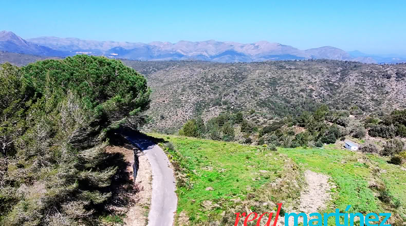 Alicante - Jalón - 34000m2
