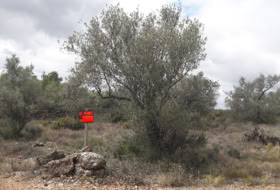 Canet lo Roig 2404&nbsp;м²