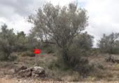 Non-developable land for sale on Poligono 078 parcela 00032 Paraje les lloses, Canet lo Roig, ref: TR395370 photo