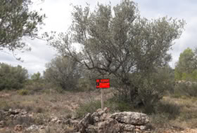 Canet lo Roig 2404&nbsp;м²