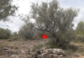 Non-developable land for sale on Poligono 078 parcela 00032 Paraje les lloses, Canet lo Roig, ref: TR395370 photo