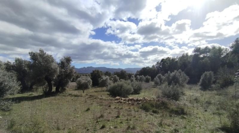 Teruel - Arens de Lledó - 22239m2