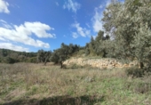 Xalet independent amb terreny en venda a la España, Calaceit, ref.: TR400649 foto