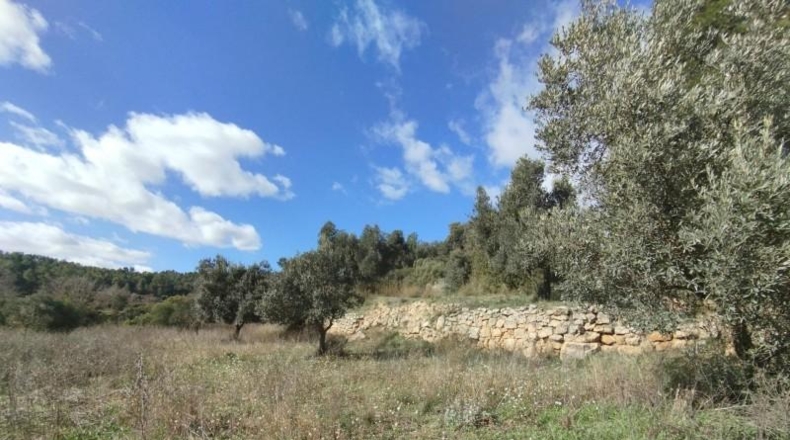 Teruel - Arens de Lledó - 22239m2