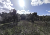 Xalet independent amb terreny en venda a la España, Calaceit, ref.: TR400649 foto