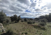 Xalet independent amb terreny en venda a la España, Calaceit, ref.: TR400649 foto