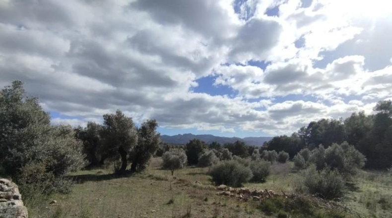 Teruel - Arens de Lledó - 22239m2