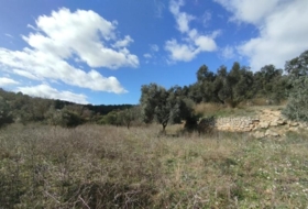 Calaceit 22239&nbsp;m² 