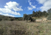 Xalet independent amb terreny en venda a la España, Calaceit, ref.: TR400649 foto