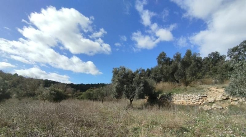Teruel - Arens de Lledó - 22239m2