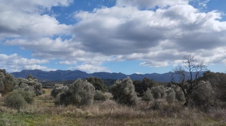 Teruel - Arens de Lledó - 22239m2