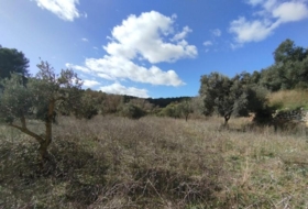 Calaceit 22239&nbsp;m² 
