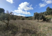 Xalet independent amb terreny en venda a la España, Calaceit, ref.: TR400649 foto