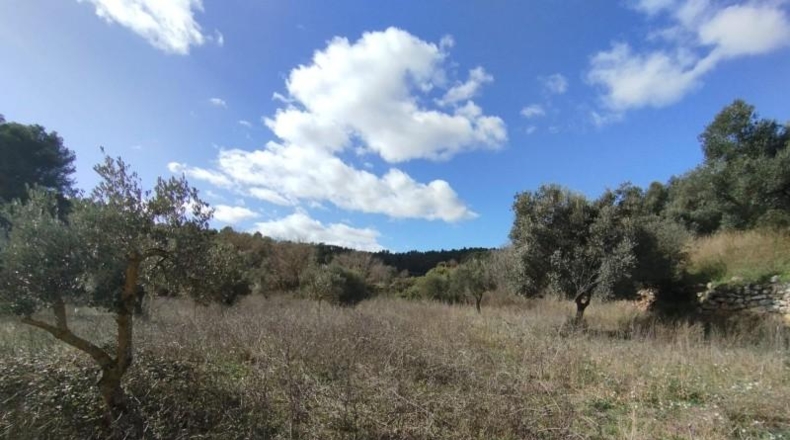 Teruel - Arens de Lledó - 22239m2