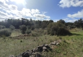 Xalet independent amb terreny en venda a la España, Calaceit, ref.: TR400649 foto