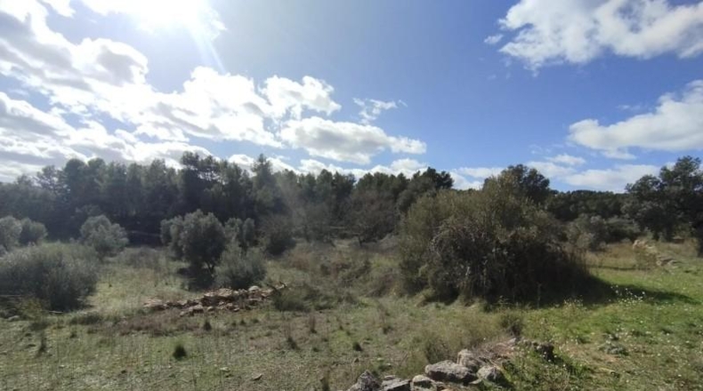 Teruel - Arens de Lledó - 22239m2