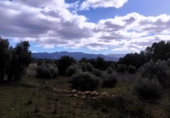 Xalet independent amb terreny en venda a la España, Calaceit, ref.: TR400649 foto