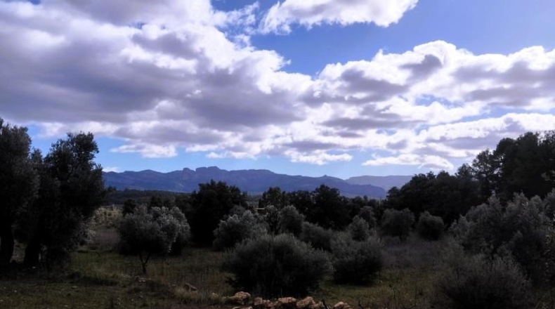 Teruel - Arens de Lledó - 22239m2