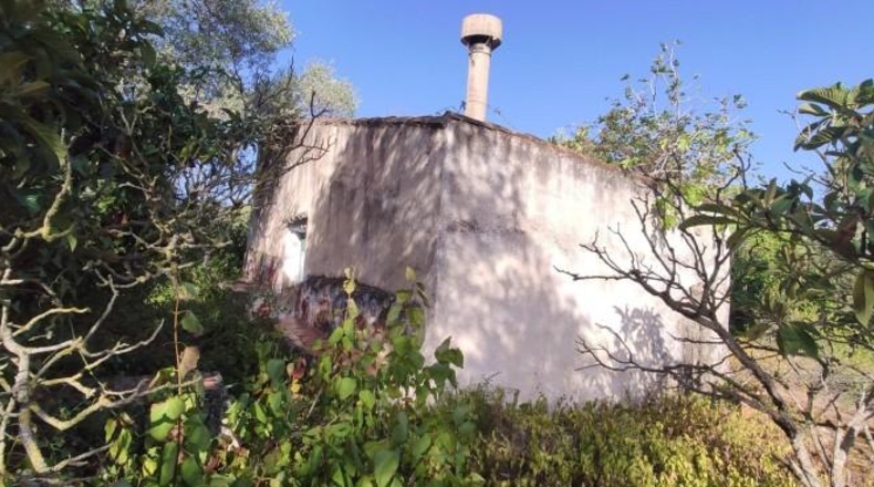 Tarragona - Amposta - 54750m2
