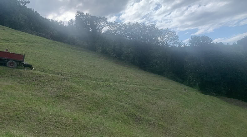 Asturias - Uriendes - 8000m2