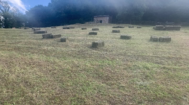 Asturias - Uriendes - 8000m2