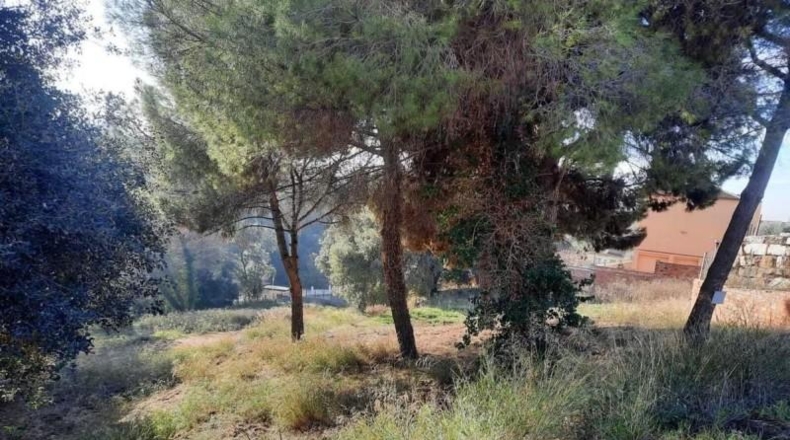 Barcelona - Can Xicota - 2498m2