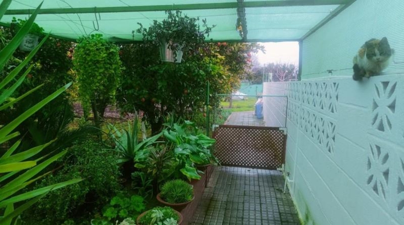 Cordova - Córdoba - 346m2
