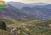 Finca rústica en venta en la España, Benalúa, ref: TR395872 foto