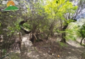 Finca rústica en venda a la España, Pinos del Valle, ref.: TR395871 foto