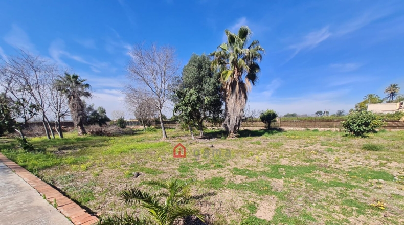Castellón - Almazora - 586m2