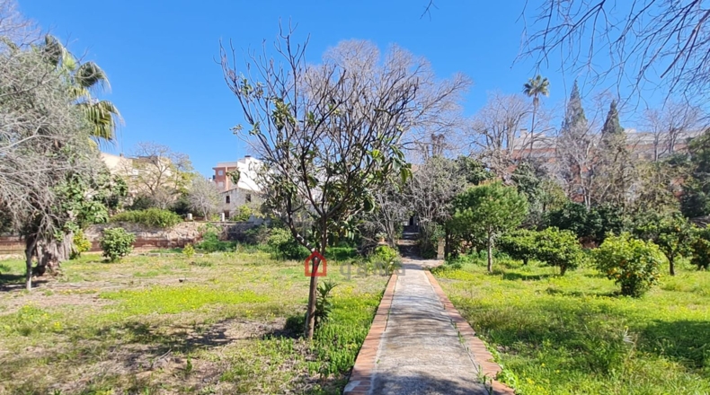 Castellón - Almazora - 586m2