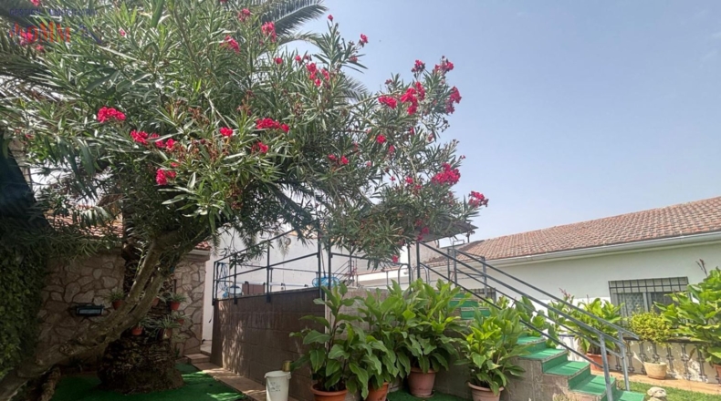 Ciudad Real - Malagón - 485m2