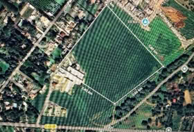 Puerto Real 65000&nbsp;m² 