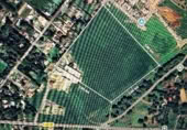 Land suitable for development for sale on Carretera de Malas Noches, Puerto Real, ref: TR395388 photo