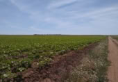 Terreny no urbanitzable en venda a la Las paradas, Calzada de Valdunciel, ref.: TR388286 foto
