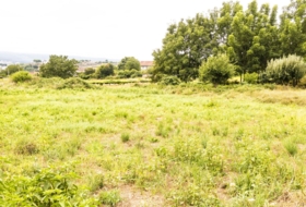 Tuy 650&nbsp;m²