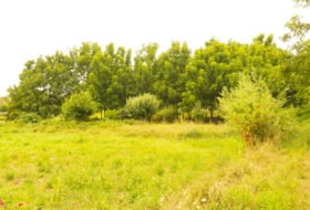 Tuy 650&nbsp;m²
