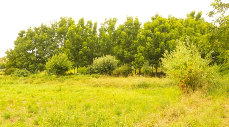 Понтеведра - Tuy - 650m2