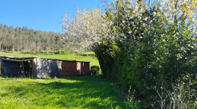 La Coruña - Felgosa - 2955m2
