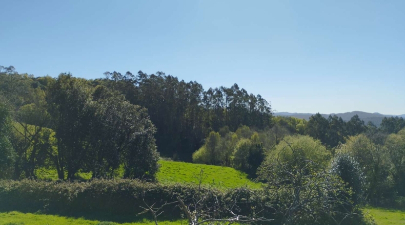 La Coruña - Felgosa - 2955m2