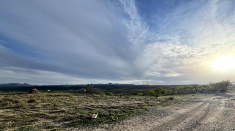Granada - Padul - 2971m2