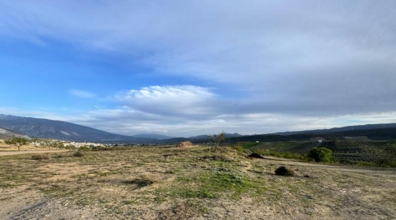 Granada - Padul - 2971m2