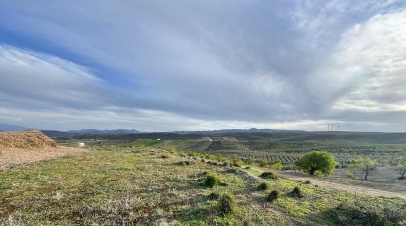 Granada - Padul - 2971m2