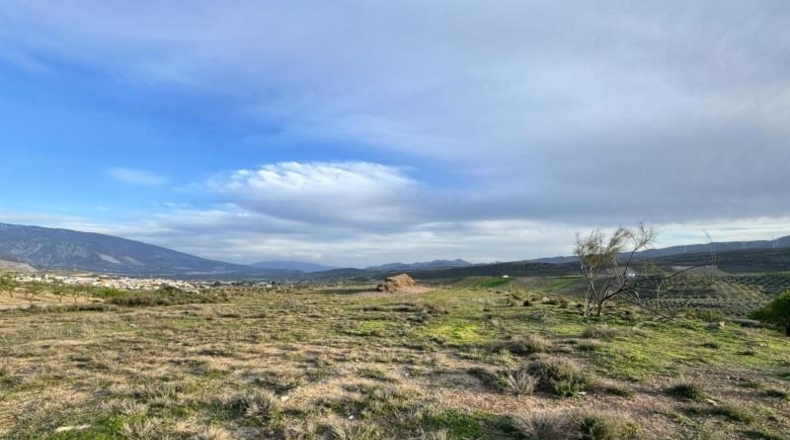 Granada - Padul - 2971m2