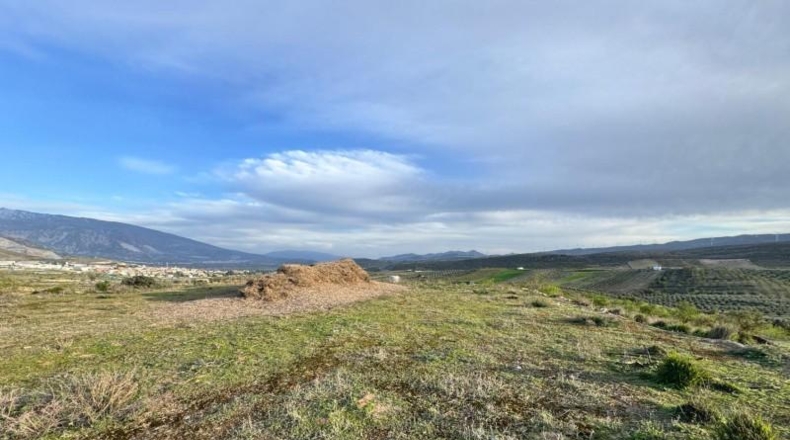Granada - Padul - 2971m2