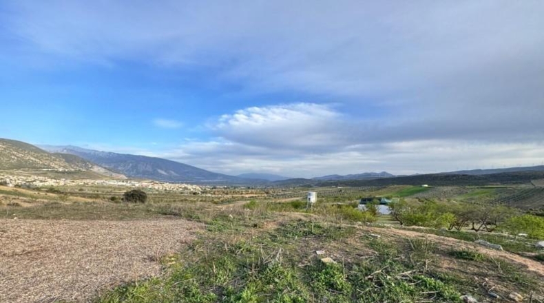 Granada - Padul - 2971m2
