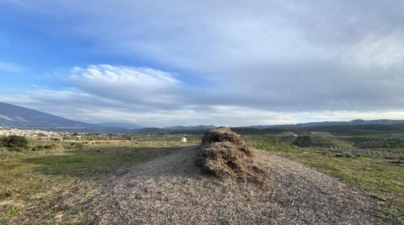 Granada - Padul - 2971m2