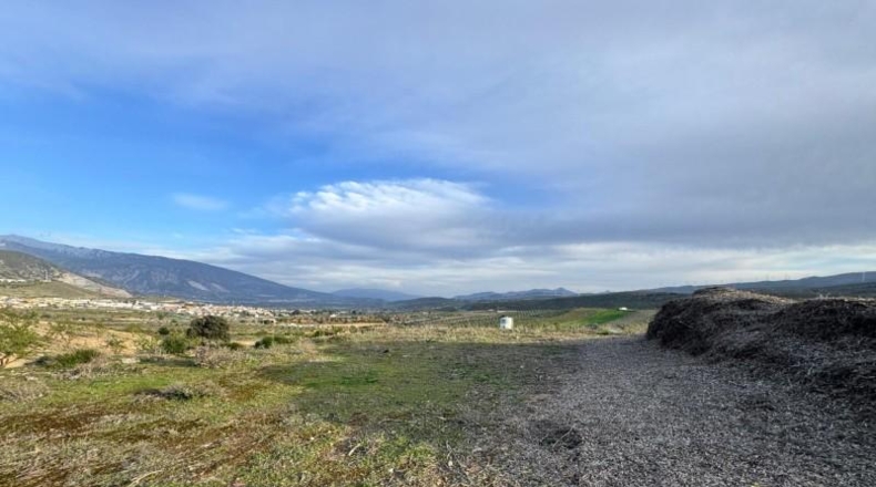 Granada - Padul - 2971m2