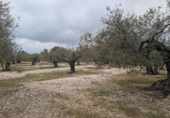 Terreno no urbanizable en venta en la España, Traiguera, ref: TR395413 foto
