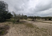 Terreno no urbanizable en venta en la España, Traiguera, ref: TR395413 foto